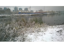 WP 20171023 09 22 43 Pro.jpg