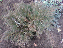 ����������