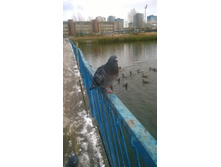 WP 20171024 09 19 50 Pro.jpg