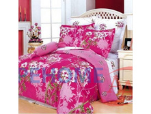 ��� ���� ����� ������(B46).jpg