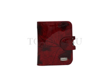 ������� Tosoco ����������� ���� B24-W07.JPG