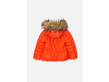 20220130110   Apus          (    ).jpg