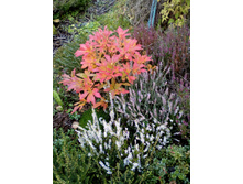 IMG 20171018 133814.jpg