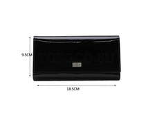 ������� Tosoco ����������� ���� A19-W01.jpg