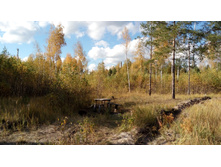 2017-10-08 13-24-31.JPG