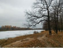 P 20171028 085352.jpg