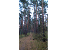 IMG 20171001 160748.jpg