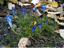 IMG 20171018 133430.jpg