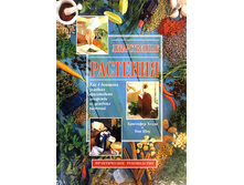 ������������� �������� 290�.jpg