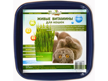 ����� �������� ��� ����� «������» 56 ���