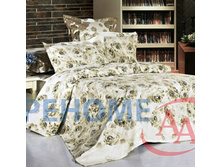 ��� ���� ����� ������(B24).jpg