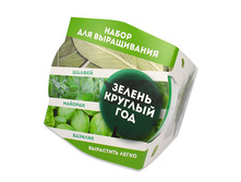 ����� �� 3-� ���� (������, �������, �������) 225 ���