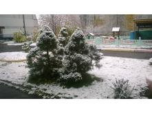 WP 20171023 10 00 37 Pro.jpg