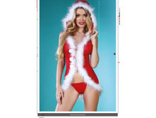 Snow Lady �������+�������  �� 900 ���. ����������