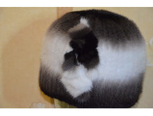 ���� ����� ����� ����� (�����)...JPG