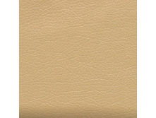 Holst Sand.jpg