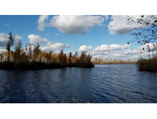 2017-10-08 13-42-51.JPG