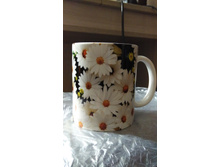 IMG 20171015 114019.jpg