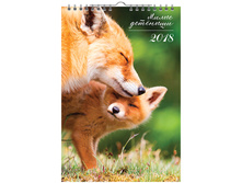 ��������� ������. �������. �� ������ 17�25, 6�. OfficeSpace ������, � �������, 2018�. 26,72.jpg