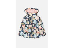 21210130013   Acrija   �������(���).jpg