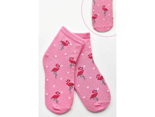 ����� �������� �������.jpg