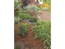 ������������ ������