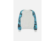 20110310051   Hummer         -     (    ).jpg