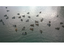 WP 20171024 09 14 52 Pro.jpg