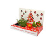 � ����� �����! �������� �������� ����	110,00