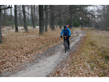 2017.10.28 08-53-39 (P1700517) GlebKa.JPG