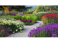 ������������ 7������.