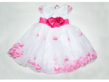 ������ 284