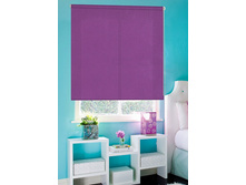 �����, �����	����������