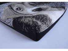 ����� ������� "�������� �����" ������, �������, ��������