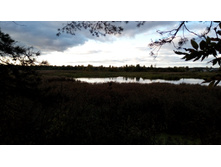 IMG 20171001 164651.jpg