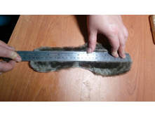 6CWfp58prk0.jpg