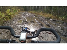 IMG 20171021 103147.jpg