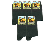 ������� ����� ������ ����������� ��-01 �����-����� ������ ������� 22.50 ���