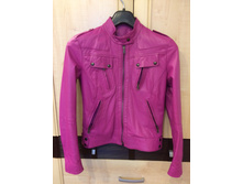 Sasch �����