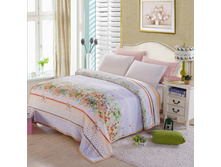 29,0 - 120�200��(��� 0,9��), 36,0 - 150�200��(��� 1,14��), 43,0 - 180�200(��� 1,37��), 53,0 - 200�230��(��� 1,75��), 65,0 - 230�250��(��� 2,2��)