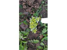 P 20171008 155254.jpg