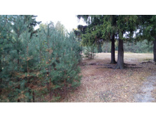 IMG 20171001 103259.jpg