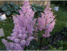 �������� ������