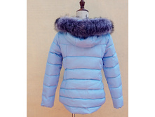 � ����.����