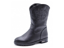 Dv-1906 �����.jpg