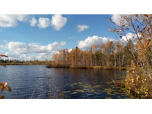 2017-10-08 13-38-05.JPG