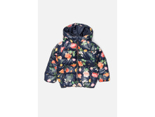 20220130106   Arani        -     (   ).jpg