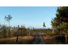 IMG 20171007 163804.jpg