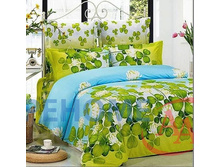 ��� ���� ����� ������(B76).jpg