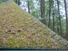 DSCN4458.JPG